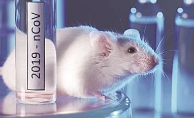 Preliminary data from animal study shows immune response for ZyCoV-D Animal vaccine