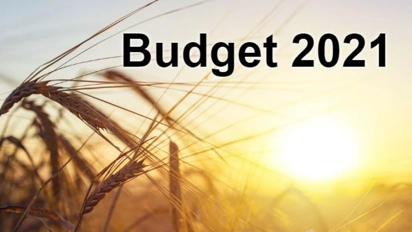Budget 2021, agriculture Budget 2021