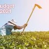 Budget 2021, agriculture