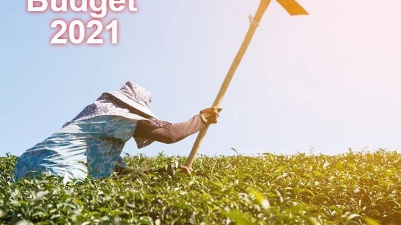 Budget 2021, agriculture Budget 2021, agriculture