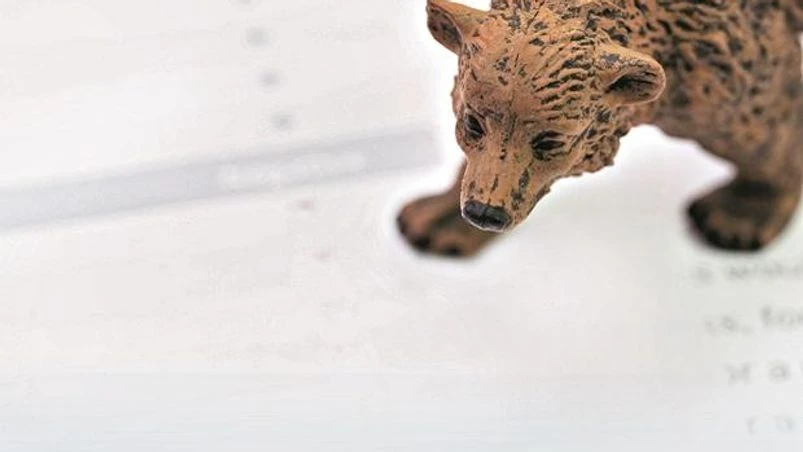 bear market, sensex, nifty, loss, growth, investment bear market, sensex, nifty, loss, growth, investment