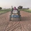 farmers' protests, women, gender, farm, tractor, fields, workers, agriculture