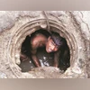 manual scavenging, manual scavengers, drainage, sewage manual scavenging, manual scavengers, drainage, sewage