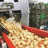 food processing, potato, production, PLI scheme