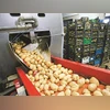 Indian food processing industry to reach $700 billion by 2030: PHDCCI food processing, potato, production, PLI scheme