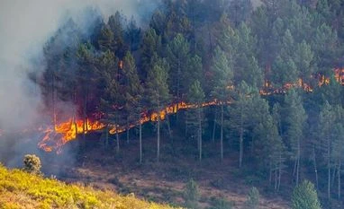 Army brings under control major forest fire in J-K's Udhampur Forest fire