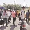 migrant workers, coronavirus, rural, lockdown, covid, labour, india, population, people, migration, jobs, employment, poor, poverty, unorganised