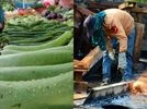 Inflation, IIP, CPI inflation, industrial production Inflation, IIP, CPI inflation, industrial production