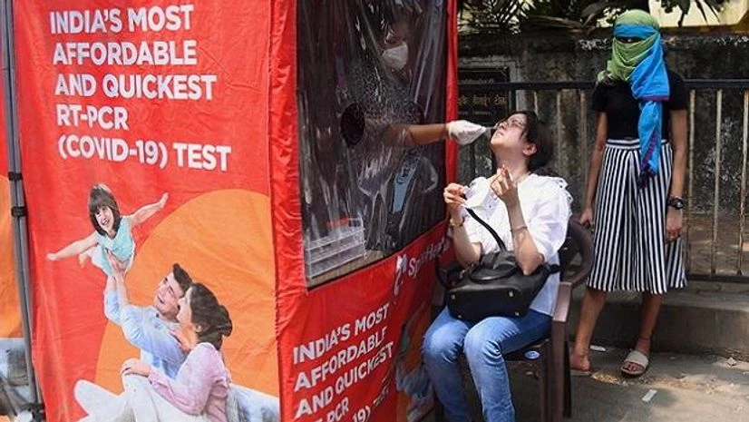 migrants, coronavirus, covid migrants, coronavirus, covid