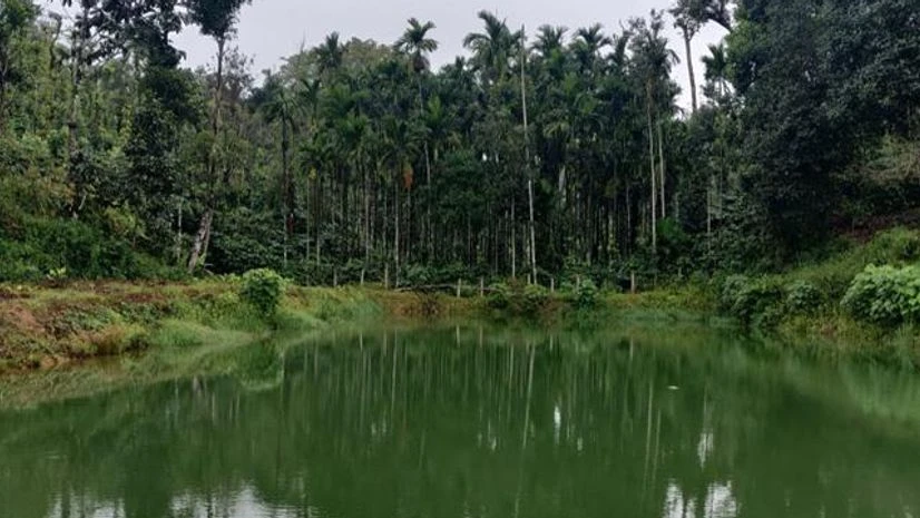 Coffee By The Lake Coffee By The Lake