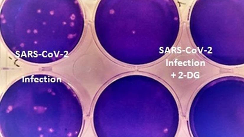 DRDO Covid drug DRDO Covid drug