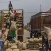CCEA approves distribution of fortified rice to tackle malnutrition