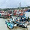 Fishing boats anchored amid cyclone Tauktae warning, at Puthiyappa fishing harbor in Kozhikode, Saturday, May 15, 2021. (PTI Photo)