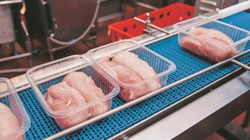 meat startup meat startup