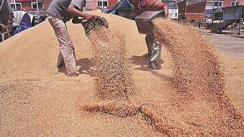 Agriculture, farmers, wheat, procurement, MSP, APMC, commodity Agriculture, farmers, wheat, procurement, MSP, APMC, commodity