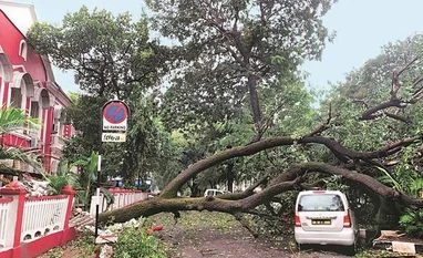 Cyclone Tauktae to hit Gujarat on Tuesday morning; 4 dead in Karnataka Cyclone Tauktae