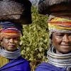 Odisha Tribes