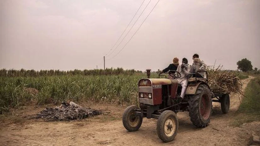 coronavirus in rural India In interviews officials outlined the scale of the carnage from entire families wiped out to bloated bodies floating down the Ganges River to farmland left untended due to a lack of workers.