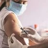 coronavirus, vaccine, vaccination, covid-19
