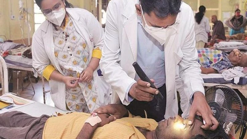 black fungus, infection, coronavirus, covid black fungus, infection, coronavirus, covid