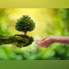 World Environment Day 2025: Inspiring slogans, wishes and messages to share world environment day