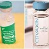Covaxin, Covishield, serum institute of india, bharat biotech, vaccine, vaccination, coronavirus, covid