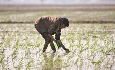 PM KISAN: How to register under the scheme to receive the 12th installment farmers, agriculture, economy, farming