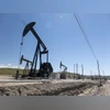 Crude Oil, Brent Crude, Oil