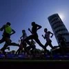 marathon, athletes, athletics, runners