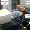 The 3D Printed Bioreactor developed by a team of scientists from IIT Madras and MIT, US
