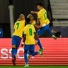 Brazil football team, Copa America