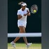 Heartbreak for Mirza-Pavic pair as duo lose Wimbledon mixed doubles semis