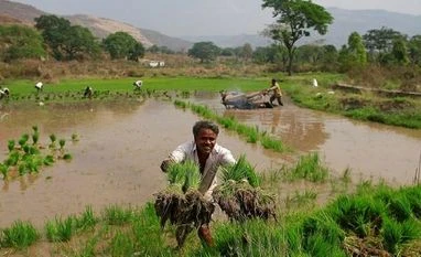 Govt says no proposal under consideration to waive farmer loans Farmer