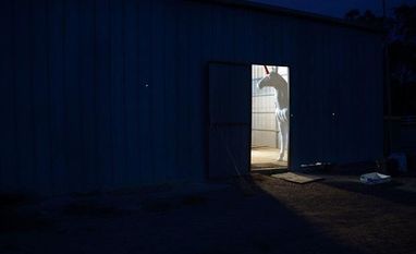 Written down: Accounting drill keeps bitcoins from getting wider acceptance Unicorn companies