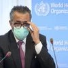 Countries must make 'massive efforts' to reduce salt intake, says WHO