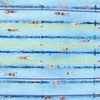 Rowdy Gaines calls for overhaul as USA swimming falters in Singapore