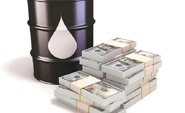 Govt starts process to fund state refiners' green goals via equity: Reports Oil, FDI, investment, PSUs, refiners