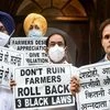 MPs of Opposition parties in Parliament hold placards demanding the repeal of three farm reform laws, staging a protest on July 28, 2021. (PTI Photo/Arun Sharma)