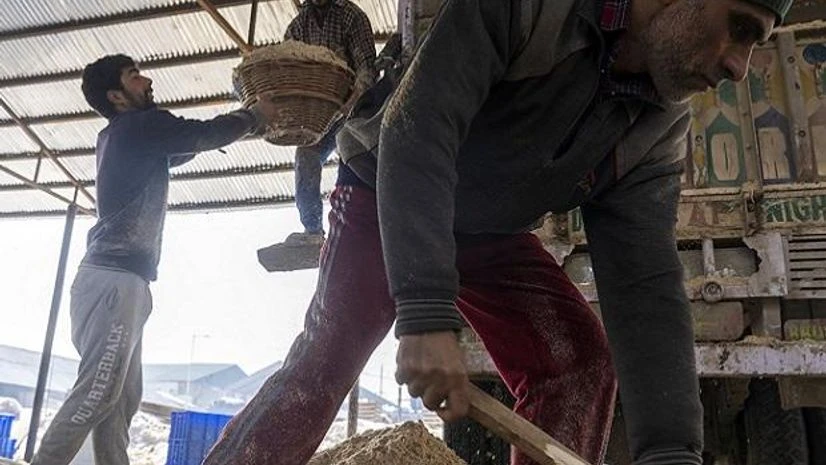 economy, growth, jobs, unorganised, workers economy, growth, jobs, unorganised, workers