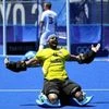 P R Sreejesh, Indian hockey goalkeeper