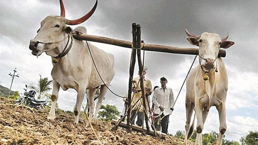 agriculture agriculture