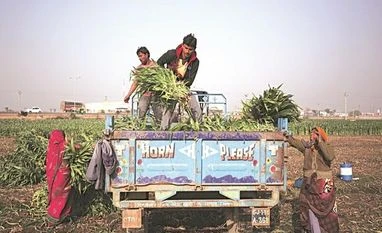 Migration from factories to farms, a sign of distress agriculture