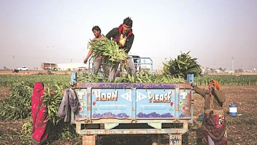 agriculture agriculture