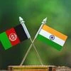 India monitoring situation in Afghanistan for staff evacuation: Report
