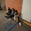 People gather outside thier building with their pet after a strong earthquake, in Mexico City, Tuesday, Sept. 7, 2021. The quake struck southern Mexico near the resort of Acapulco, causing buildings to rock and sway in Mexico City nearly 200 miles aw