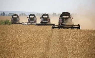 Global wheat prices up for 4th month straight after India bans export: FAO Russia, harvesting, harvesters, wheat field, farming, agriculture