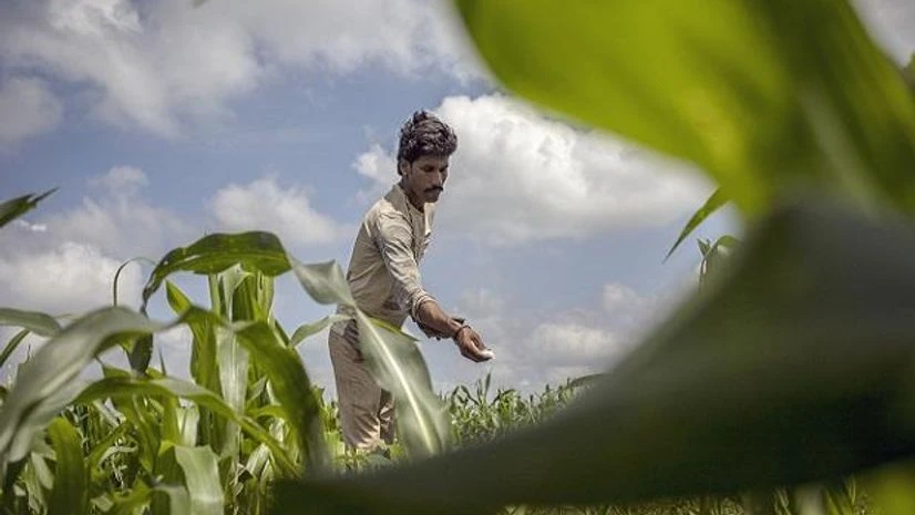 Farmers, agriculture, fertilizer, pesticides Farmers, agriculture, fertilizer, pesticides