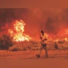 Climate change, Forest fires, Wildfires Scientist predict failure to take action may speed up occurences of heat waves, wildfires, and flooding