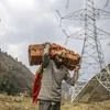 The state-run generator plans to sell shares in NTPC Renewable Energy Ltd. within a year, the official said