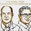 Nobel Prize in medicine for discovery of temperature, touch receptors